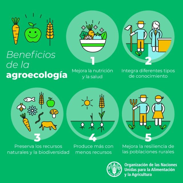 5-benefits-of-agroecology-es-1