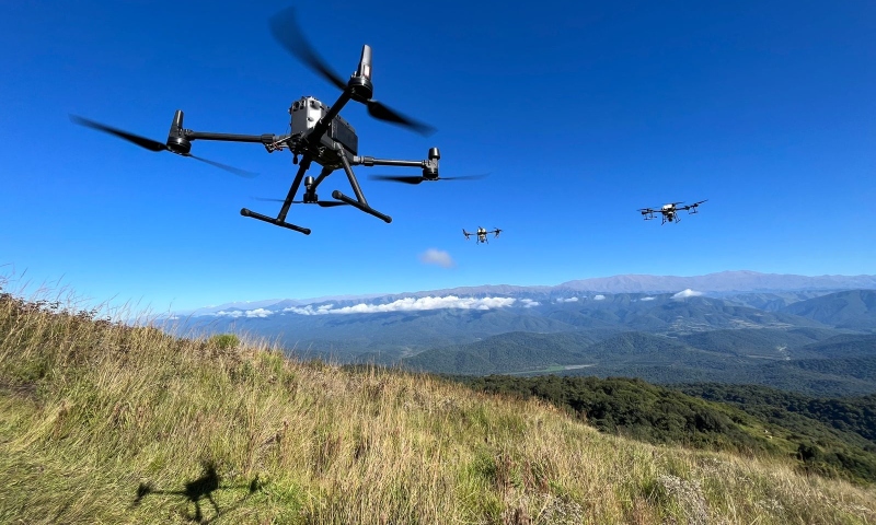Una startup tucumana usa drones y bombas de semillas para restaurar bosques y pastizales