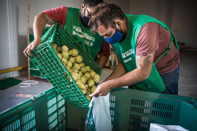 El desafío del hambre y el desperdicio: millones de kilos de comida recuperados en Argentina