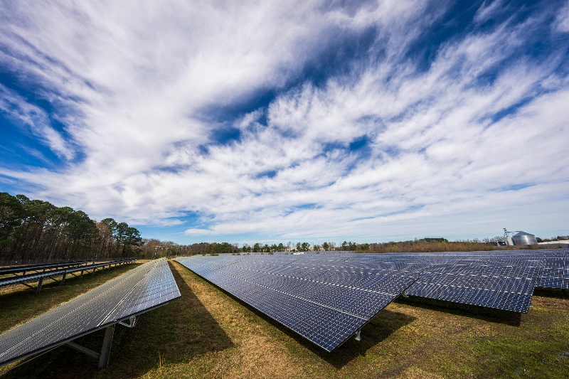 Política ausente, futuro incierto: el ocaso de la ley que impulsó las energías limpias en Argentina