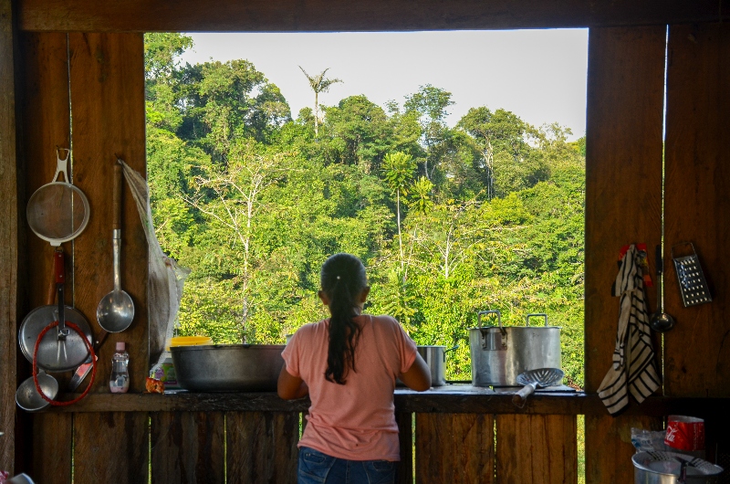Revirtiendo la deforestación de la mano del fortalecimiento de comunidades rurales en Sudamérica