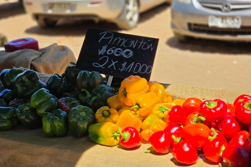Chile da un paso histórico en seguridad alimentaria con su primera Ley de Ferias Libres