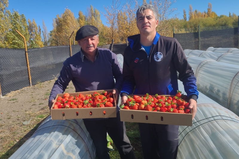 Tres proyectos que fortalecen la soberanía alimentaria desde los territorios