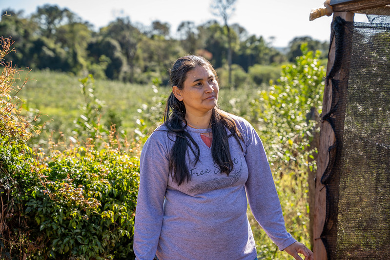 Cómo un grupo de mujeres convirtió la conservación del bosque nativo en una oportunidad económica
