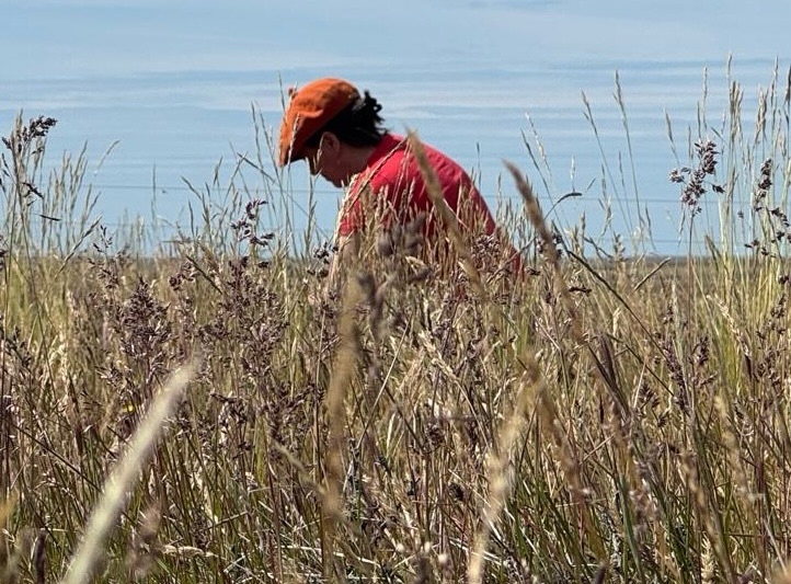 Créditos de carbono: qué pueden ganar los productores que cambian el manejo ganadero