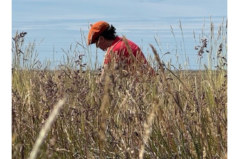 Créditos de carbono: qué pueden ganar los productores que cambian el manejo ganadero